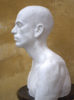 Petr Mucha - studie v plastice - Portrét mladého muže - 2012 - 50 x 40 x 35cm - sádra - Levý profil